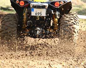 Motoren und Antriebe für Golfmobile und E-Quads