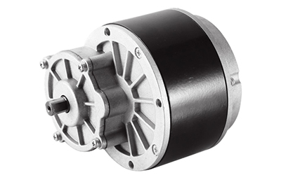 450W Antriebsmotor, Bürstenmotor, PMDC Motor ZD109AZ5