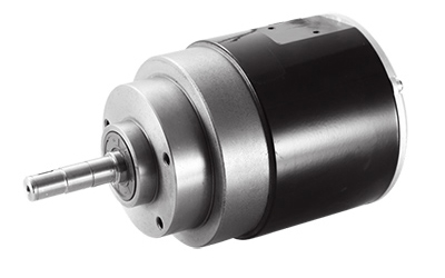 900W (3100 RPM) Antriebsmotor, bürstenloser Motor, PMDC Motor TF110AH2